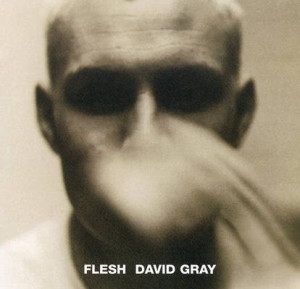 David-Gray---Flesh-1994-Front-Cover-21866