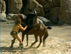 conan-punches-horse(1)